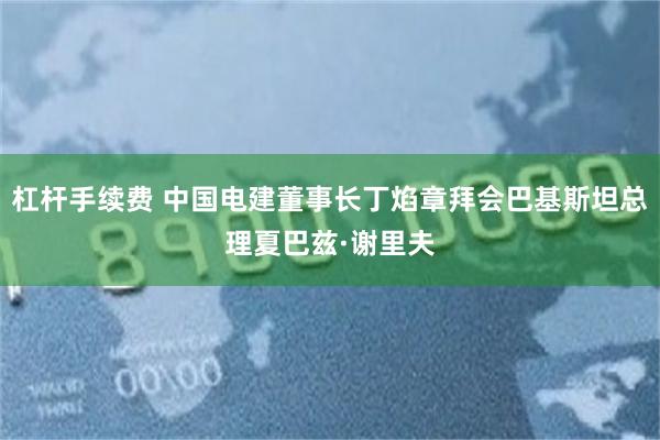 杠杆手续费 中国电建董事长丁焰章拜会巴基斯坦总理夏巴兹·谢里夫