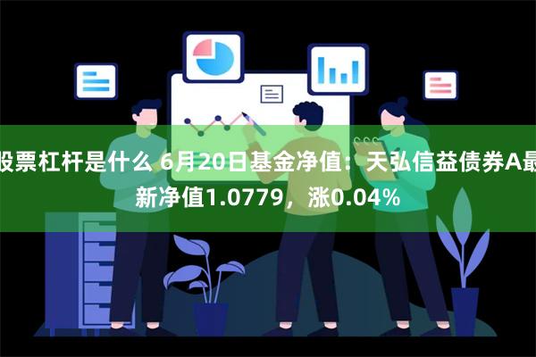 股票杠杆是什么 6月20日基金净值：天弘信益债券A最新净