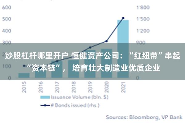 炒股杠杆哪里开户 恒健资产公司：“红纽带”串起“资本链”， 培育壮大制造业优质企业