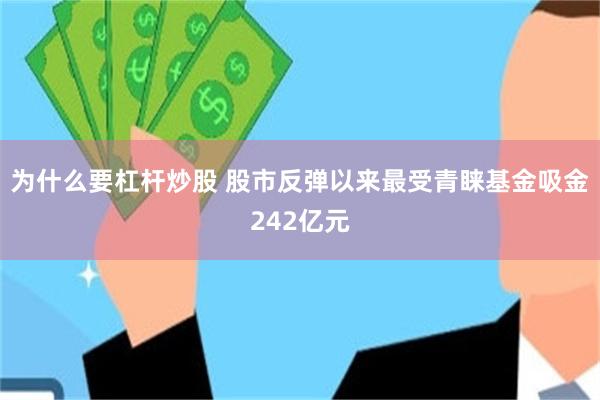 为什么要杠杆炒股 股市反弹以来最受青睐基金吸金242亿元